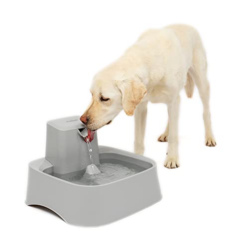PetSafe Drinkwell Water Fountain for Cats, Dogs, or Multiple Pets - Automatic Water...