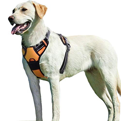 Eagloo Dog Harness No Pull, Walking Pet Harness with 2 Metal Rings and Handle...