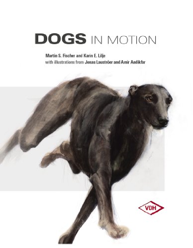 Dogs in Motion (Hunde in Bewegung)