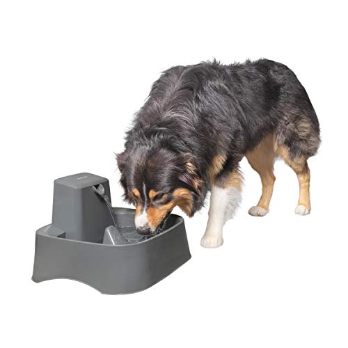 PetSafe Drinkwell Fountain for Cats and Dogs – Fountain Filter and Pump Included -...