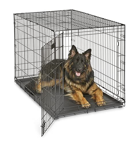 MidWest Homes for Pets Newly Enhanced Single Door iCrate Dog Crate, Includes...