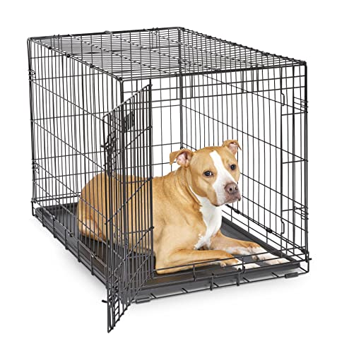 MidWest Homes for Pets Newly Enhanced Single & Double Door iCrate Dog Crate, Includes...