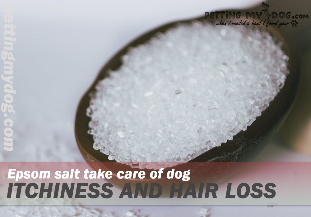 Epsom salt helps in soothing itchiness and hair loss in dog know more at pettingmydog.com