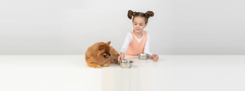 What human foods are bad and harmful for dogs