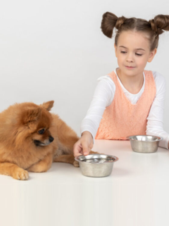 What human foods are bad for dog to eat
