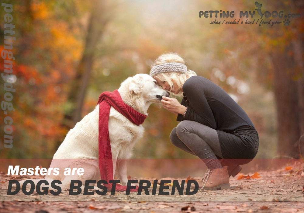 masters are dogs best friend they thrilled to see you know more at pettingmydog.com
