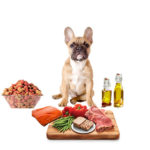 Fat and fatty Acids in Dogs Food know more at pettingmydog.com