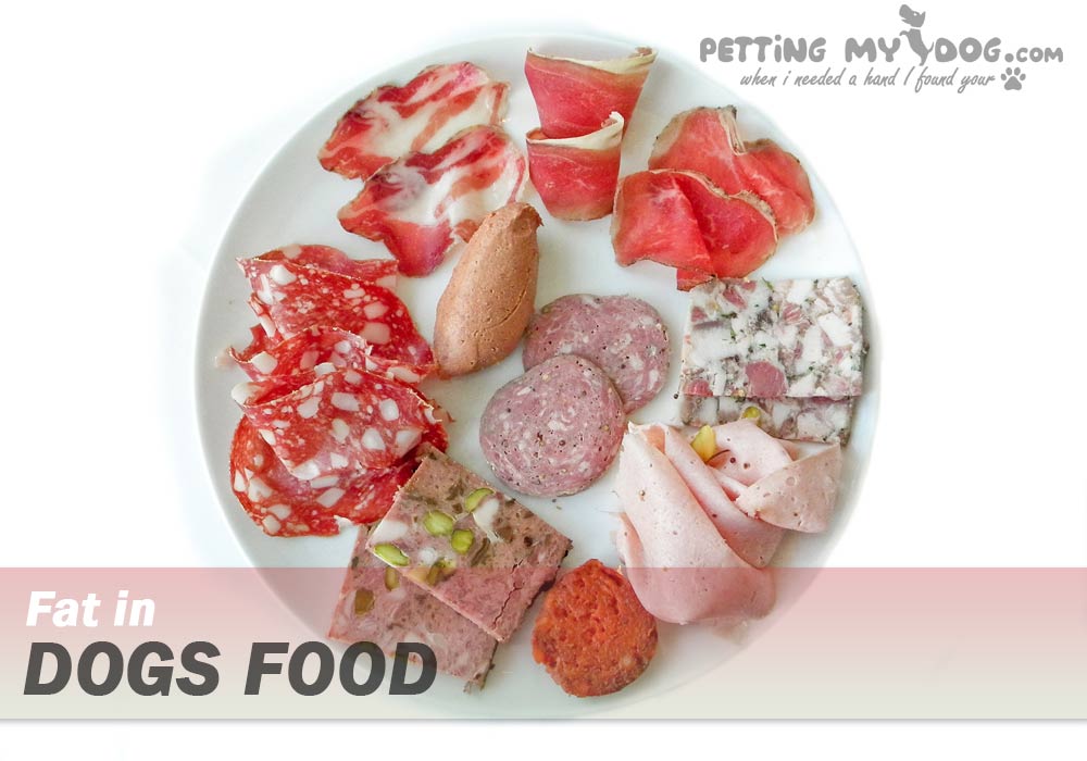 importance of fat in Dogs food know more at pettingmydog.com