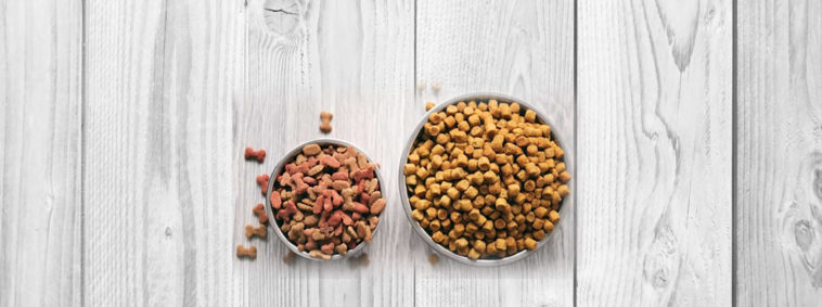 how to choose Dog food know more at pettingmydog.com.