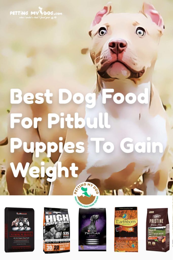 These are all time favorite Best Dog food for Pitbull puppies to gain weight