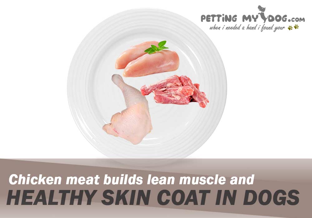 Chicken meat builds lean muscle and healthy skincoat in Dogs