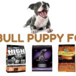 find which is the best dog food for Pitbull puppies to gain weight and muscle