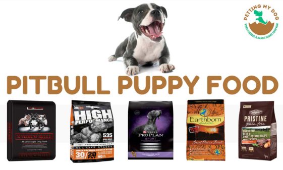 find which is the best dog food for Pitbull puppies to gain weight and muscle