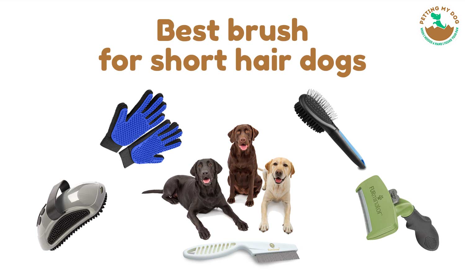 Best Brush For Short Hair Dogs Top 5 Recommended On March 29, 2022