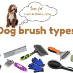 Dog brush types best grooming brush for different dog breeds