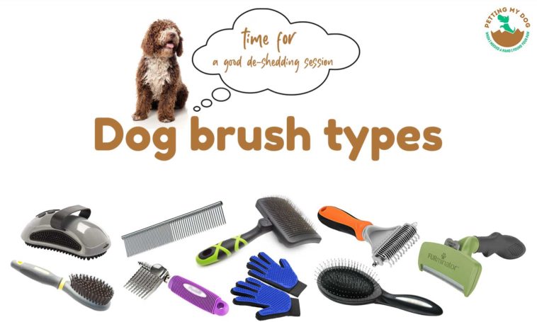 Types of Dog grooming brush | What dog brush to use - Petting My Dog