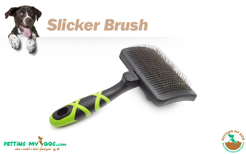 best Slicker brush for dog grooming