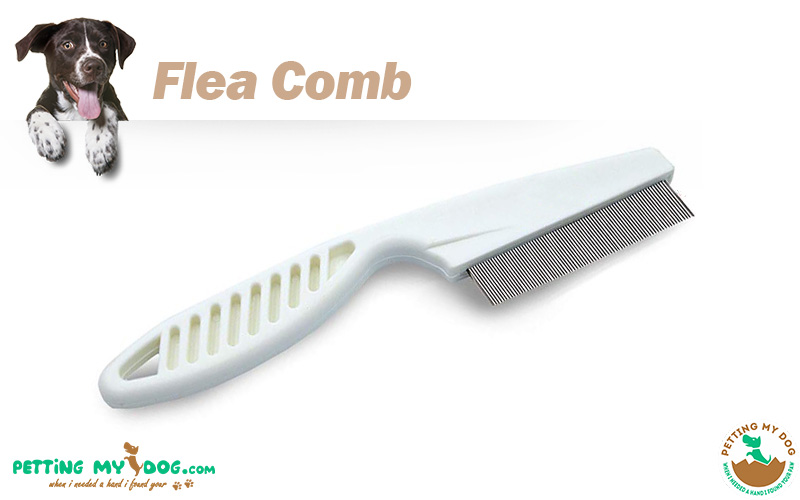 best flea comb in usa market to buy online