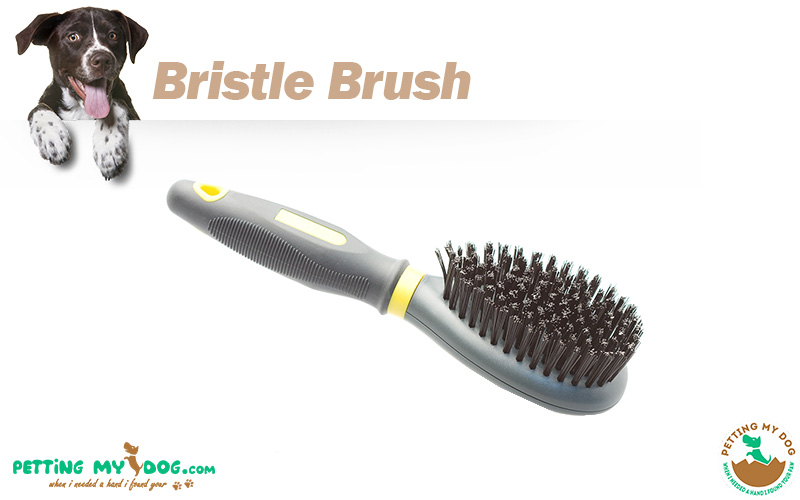 Bristle brush for dog grooming