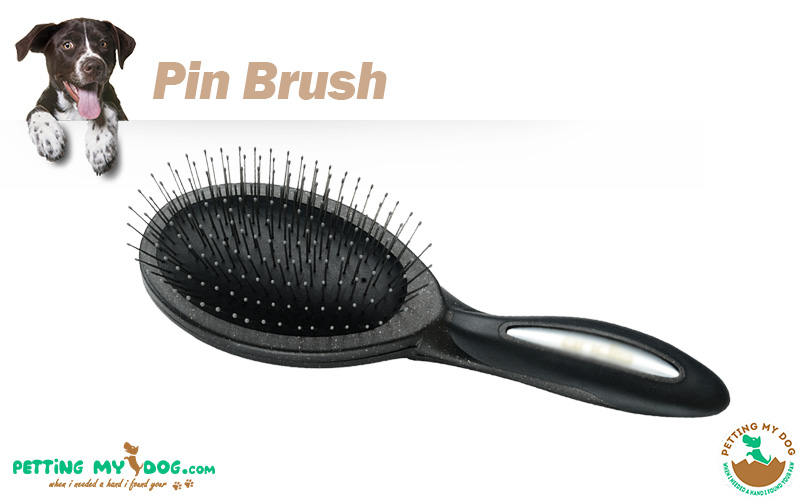best type of pin brush for dog grooming