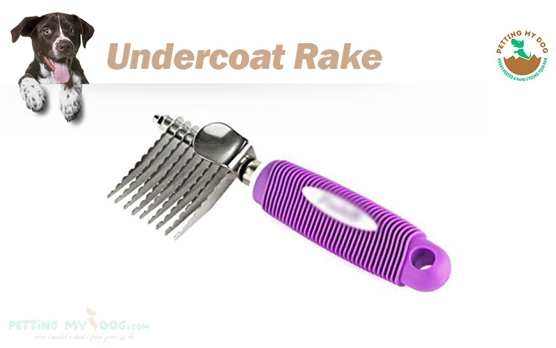 best undercoat rake for thick dog hair
