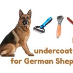 Best undercoat rake for German Shepherd