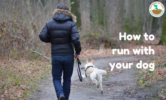 How to run with your dog