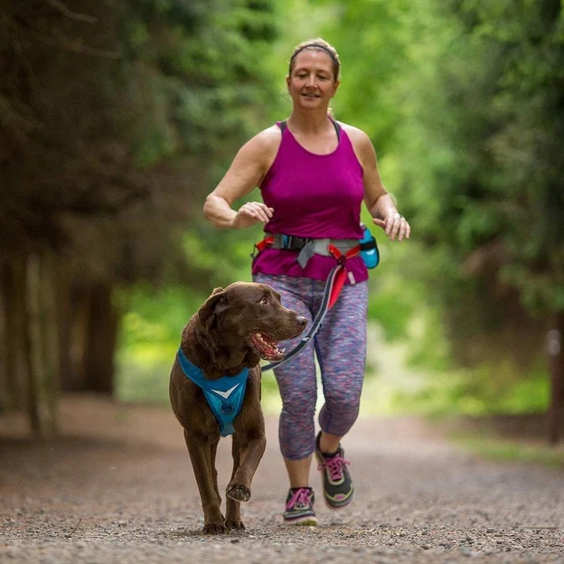 How to choose good running harness for dogs