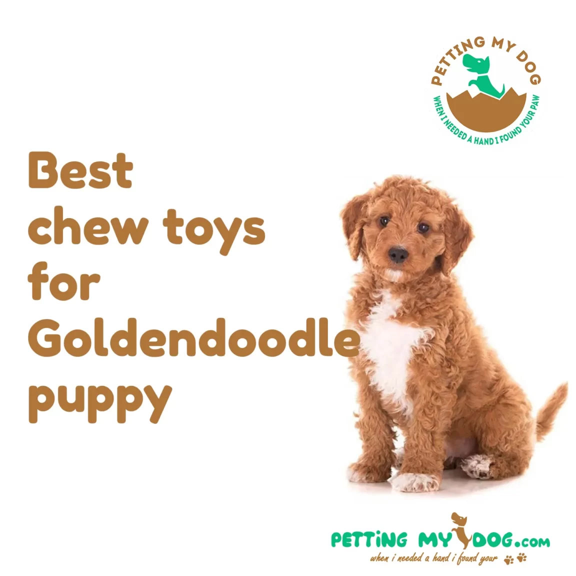 Best chew toys for Goldendoodle puppy