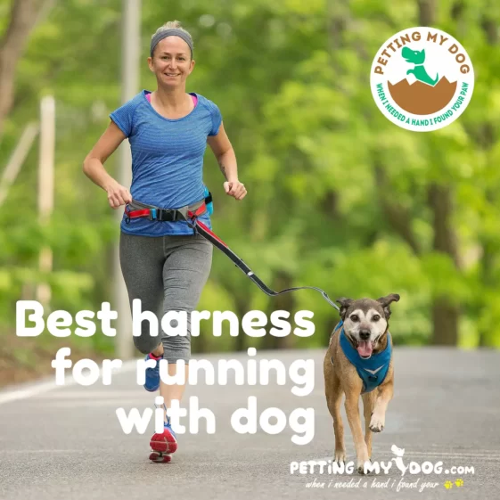 Here is the list of top 5 harness for running with dogs