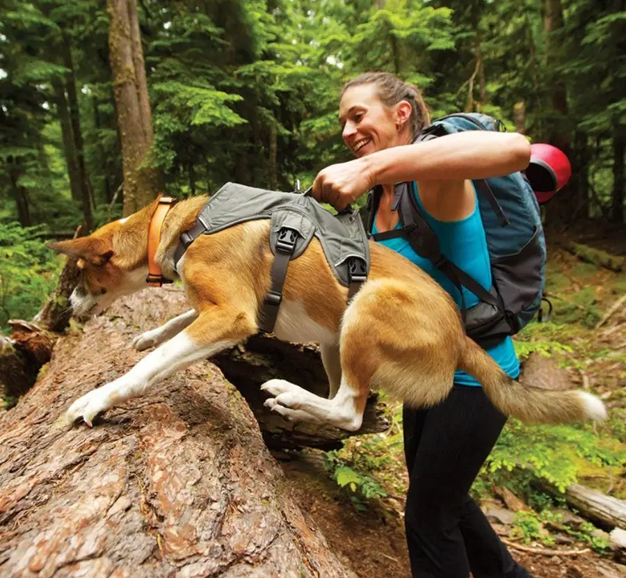 RUFFWEAR Web Master Hiking and Trail Running Dog Harness 5 convenient points of adjustment