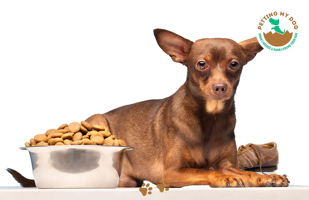 Toy and small breed dogs puppy food requirements