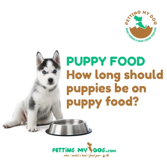 Understand how long should puppies be on puppy food