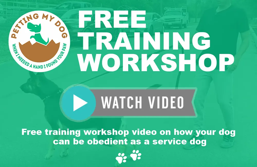 Free training workshop video on how your dog can be obedient as a service dog