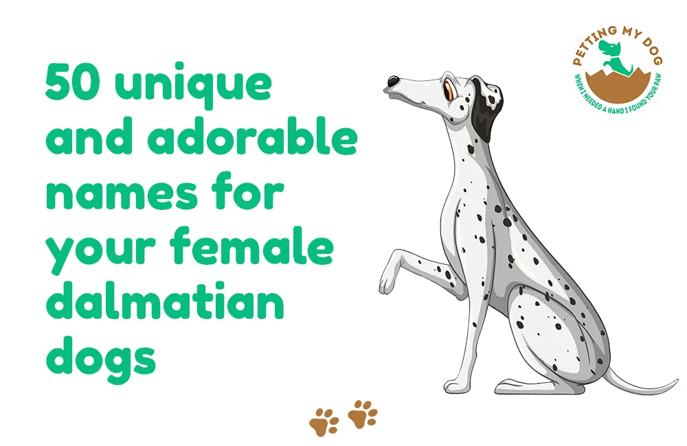 Choose from 50 unique and adorable names for your female dalmatian dogs