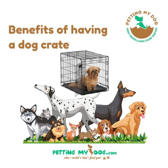 Benefits of having a dog crate for your puppy