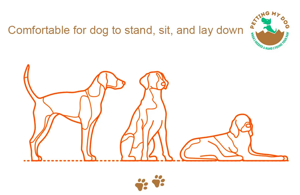 Dog crate should be comfortable for your dog to stand sit and lay down