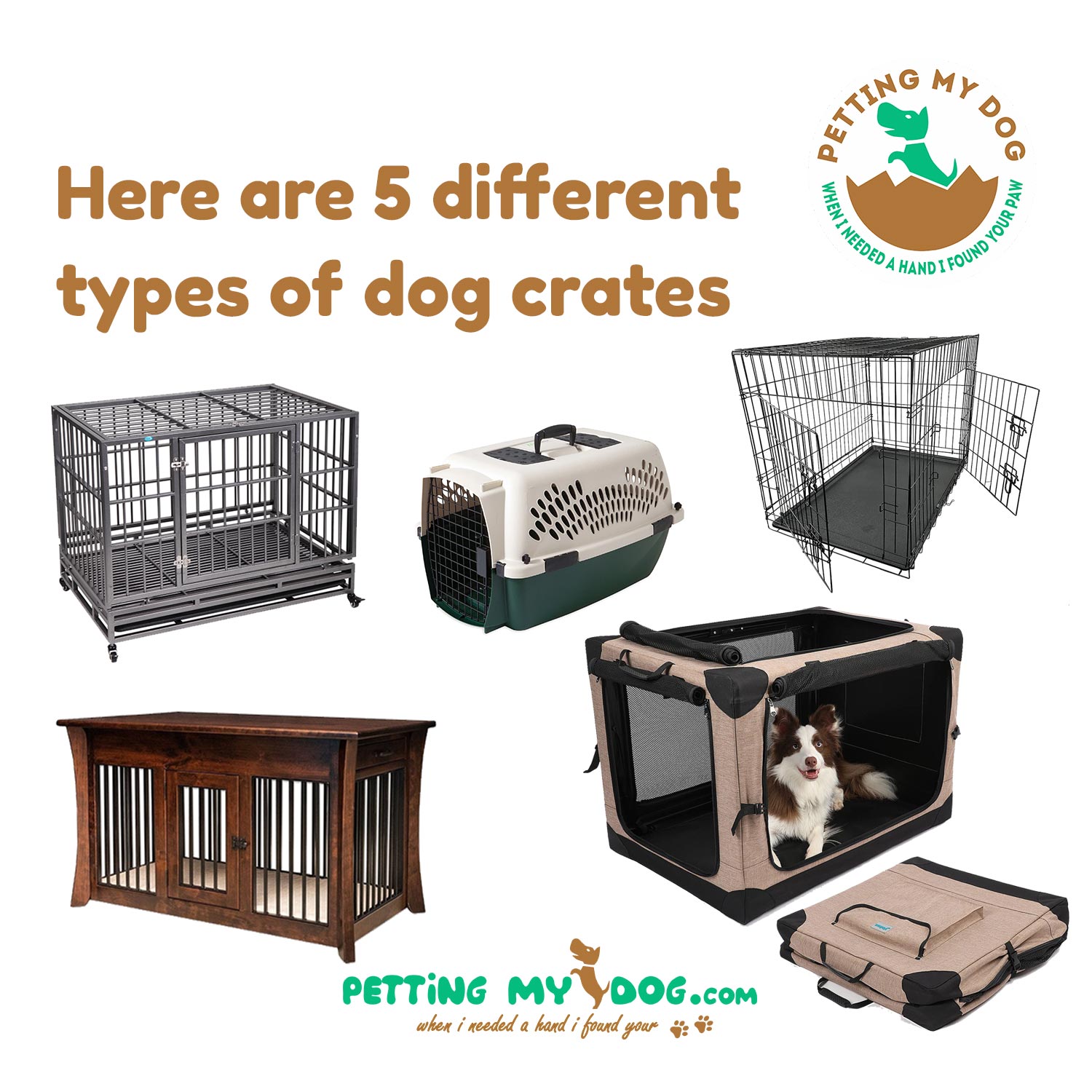 Here are 5 different types of dog crates available for your dog