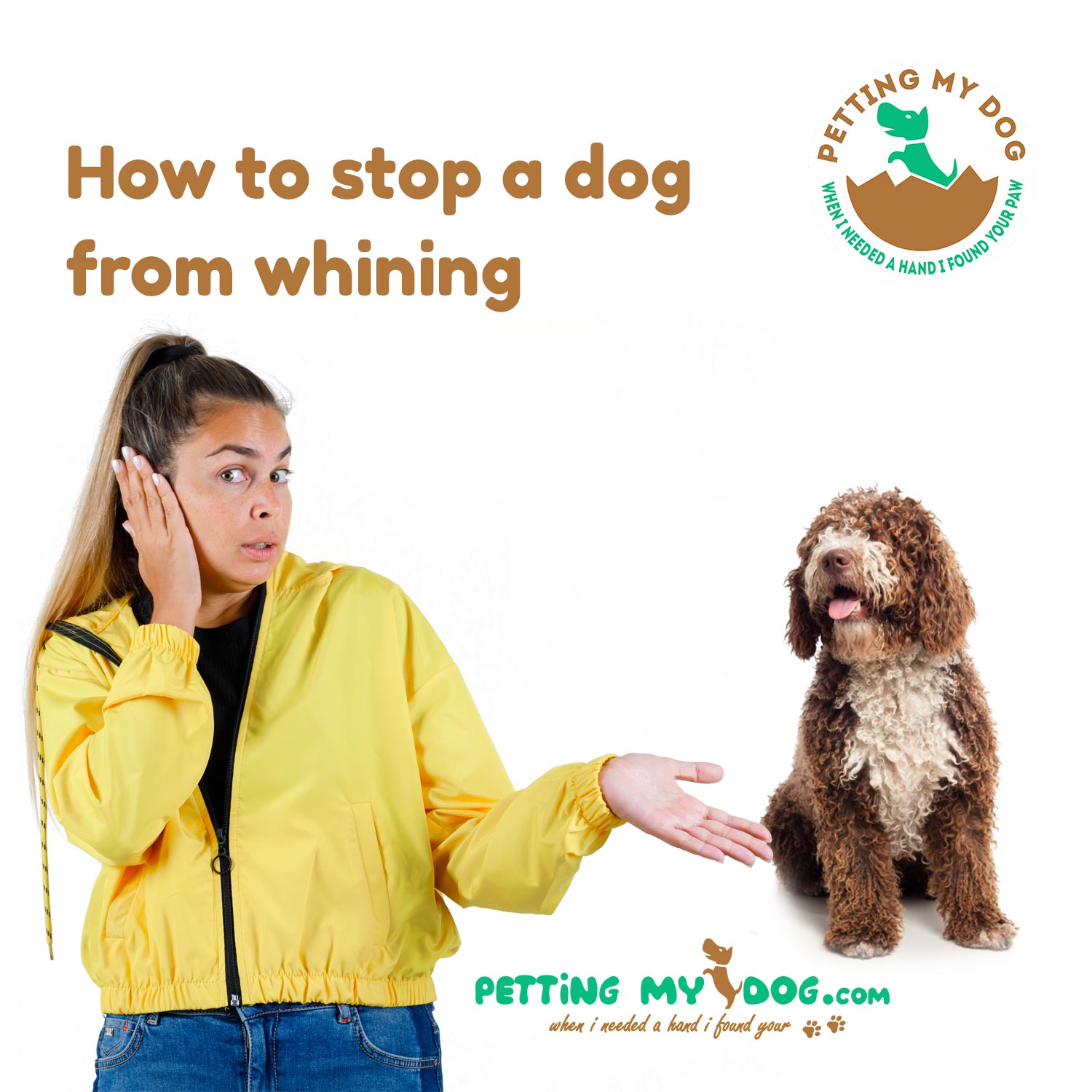 How to stop a dog from whining the steps you can take