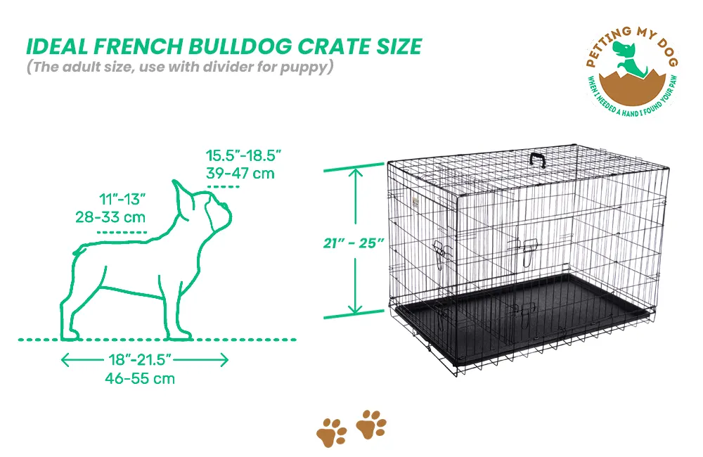The ideal French Bulldog Crate Size diagram with dimensions marked