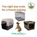 The right size crate for french bulldog and the best one to choose