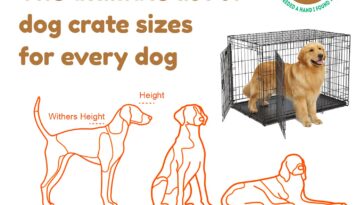 The ultimate list of dog crate sizes for every dog breed with crate size chart