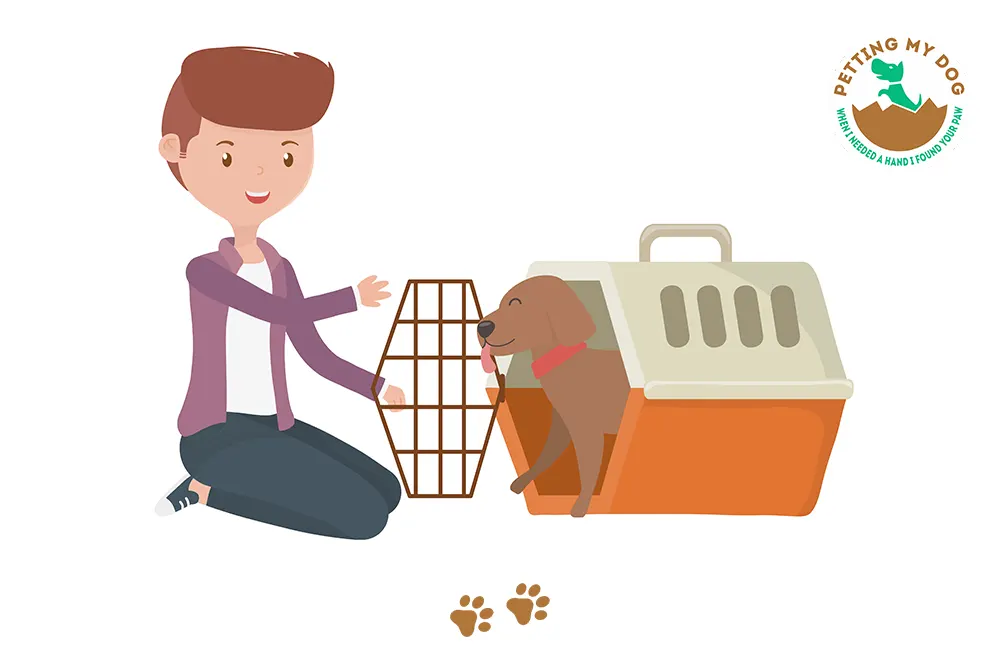 Ways to make your dog feel at ease and introduce to new crate