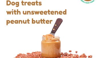 its time to make healthy Dog treats with unsweetened peanut butter
