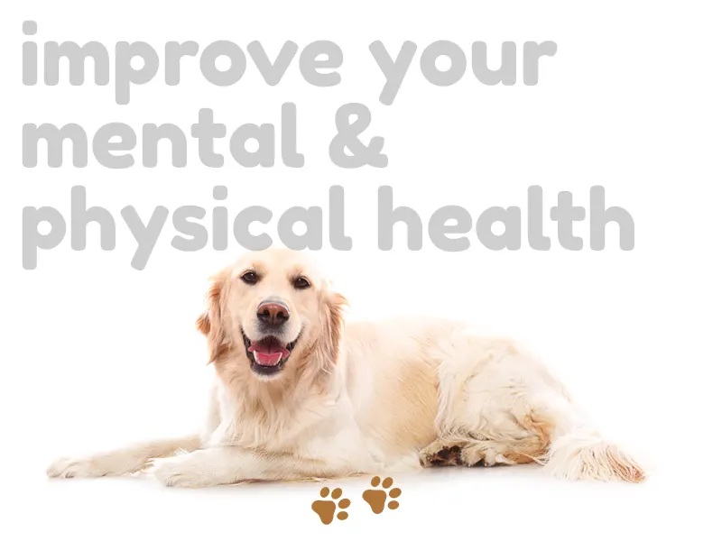 A Dog can improve your mental and physical health