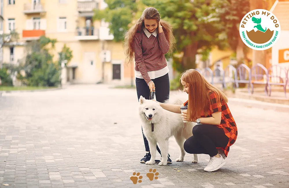 A dog can improve your social life