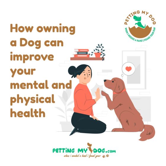 This is How owning a Dog can improve your mental and physical health