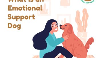 What Is An Emotional Support Dog