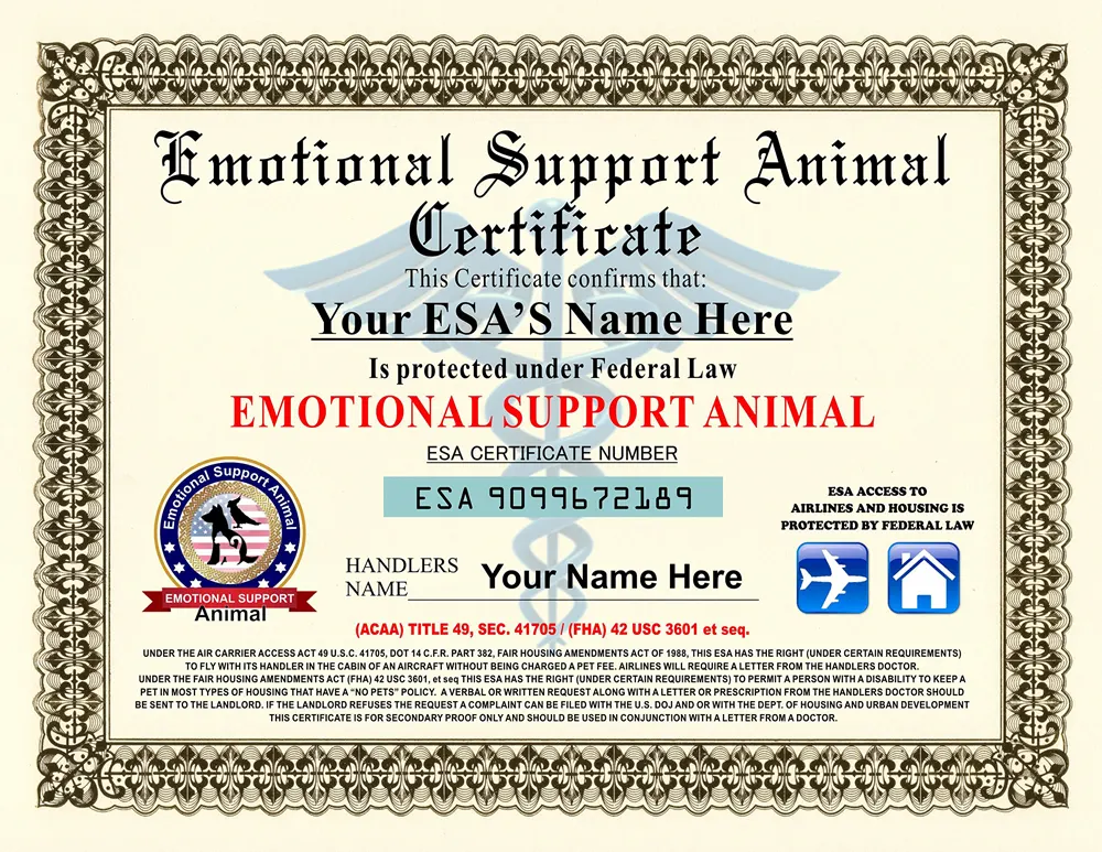 Sample emotional support dog certificate