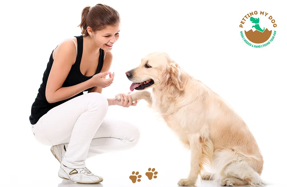 Importance of proper training for emotional support dogs